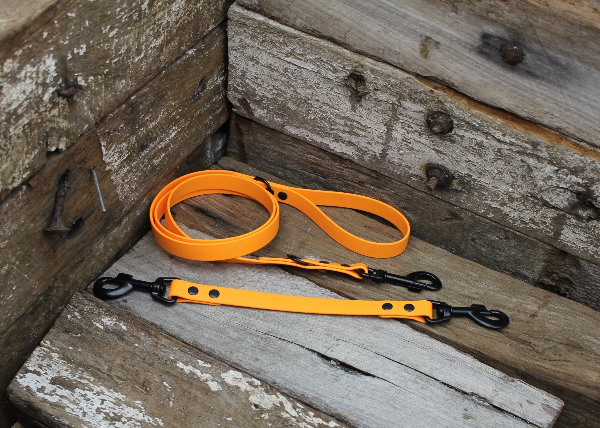 Biothane Safety Backup Lead 3/4" 19mm - Nextgen Dog Collars