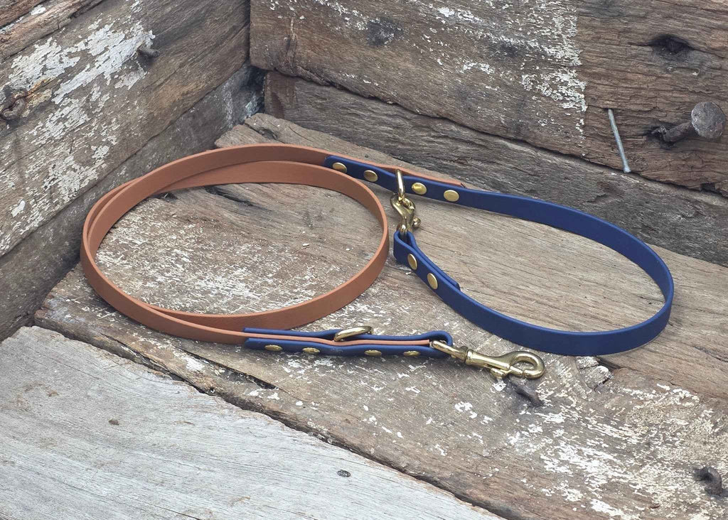 Biothane Two Tone Service Dog Lead 5/8" 16mm