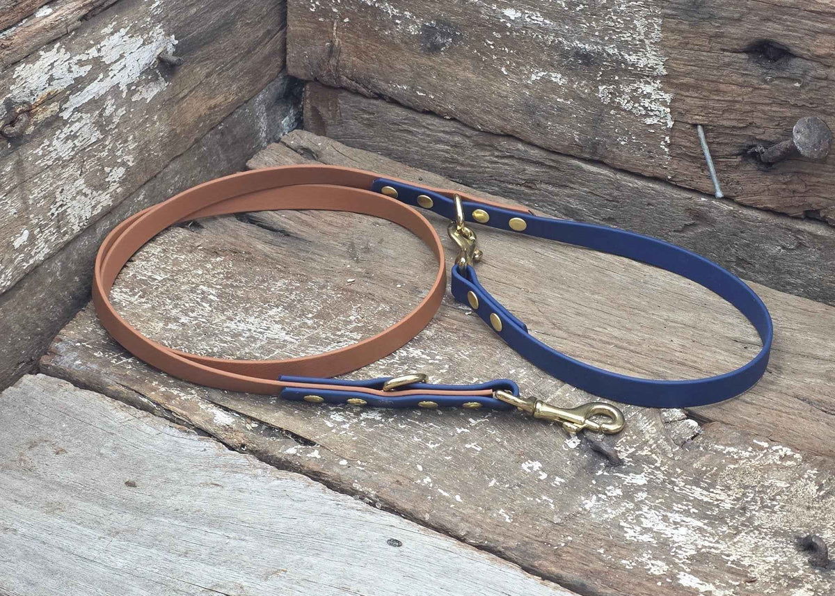Biothane Two Tone Service Dog Lead 5/8" 16mm