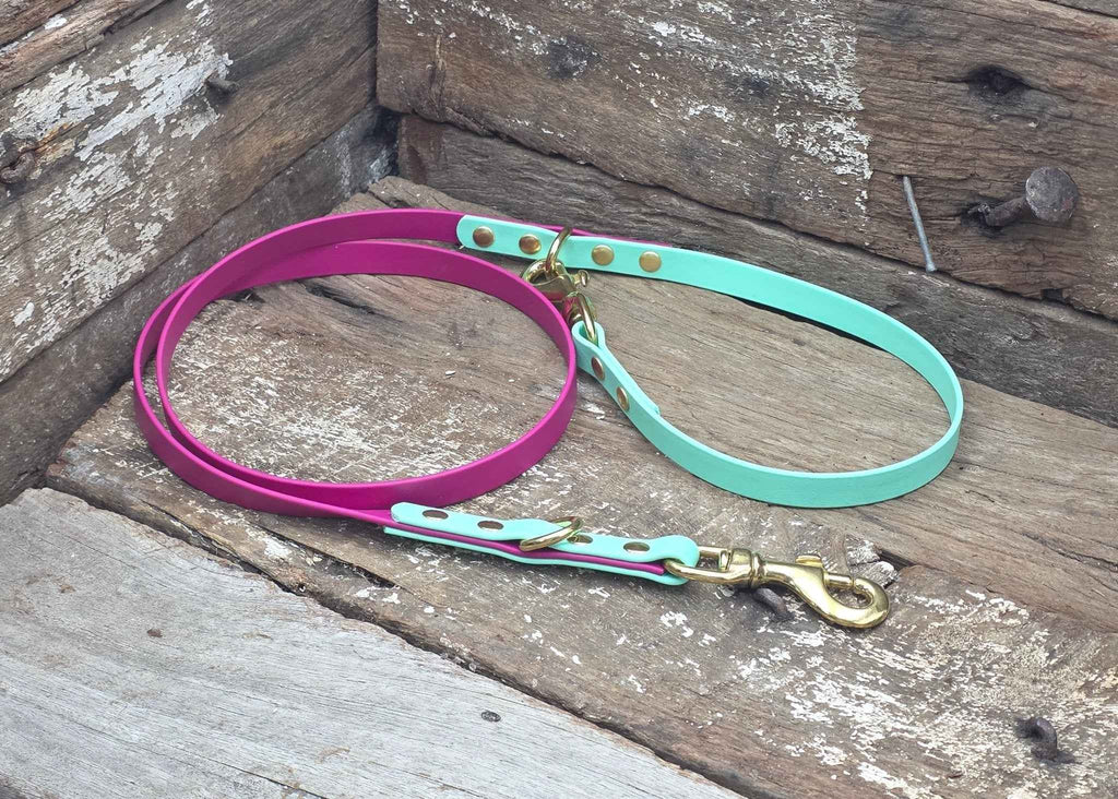 Biothane Two Tone Service Dog Lead 5/8" 16mm