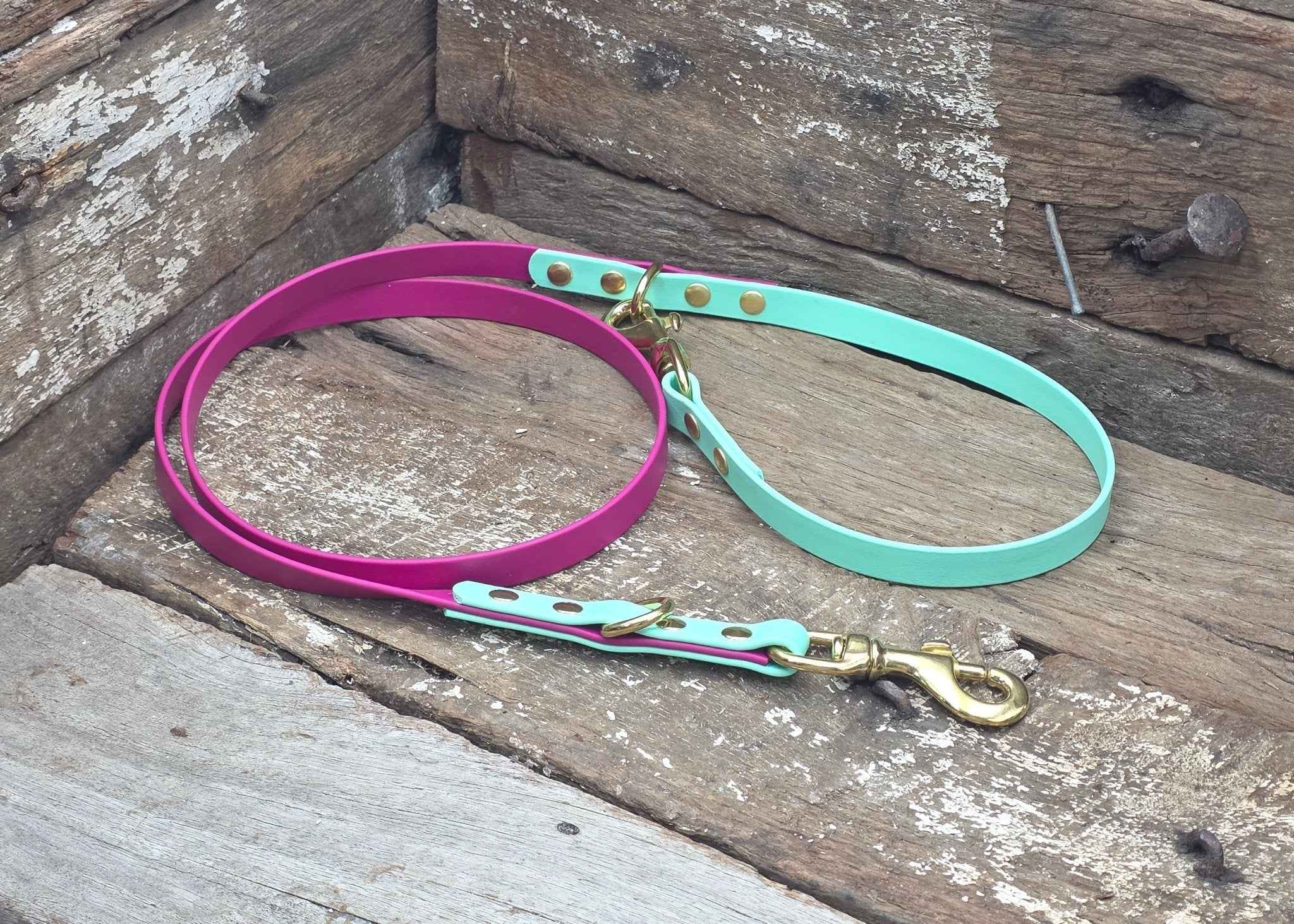 Biothane Two Tone Service Dog Lead 5/8" 16mm