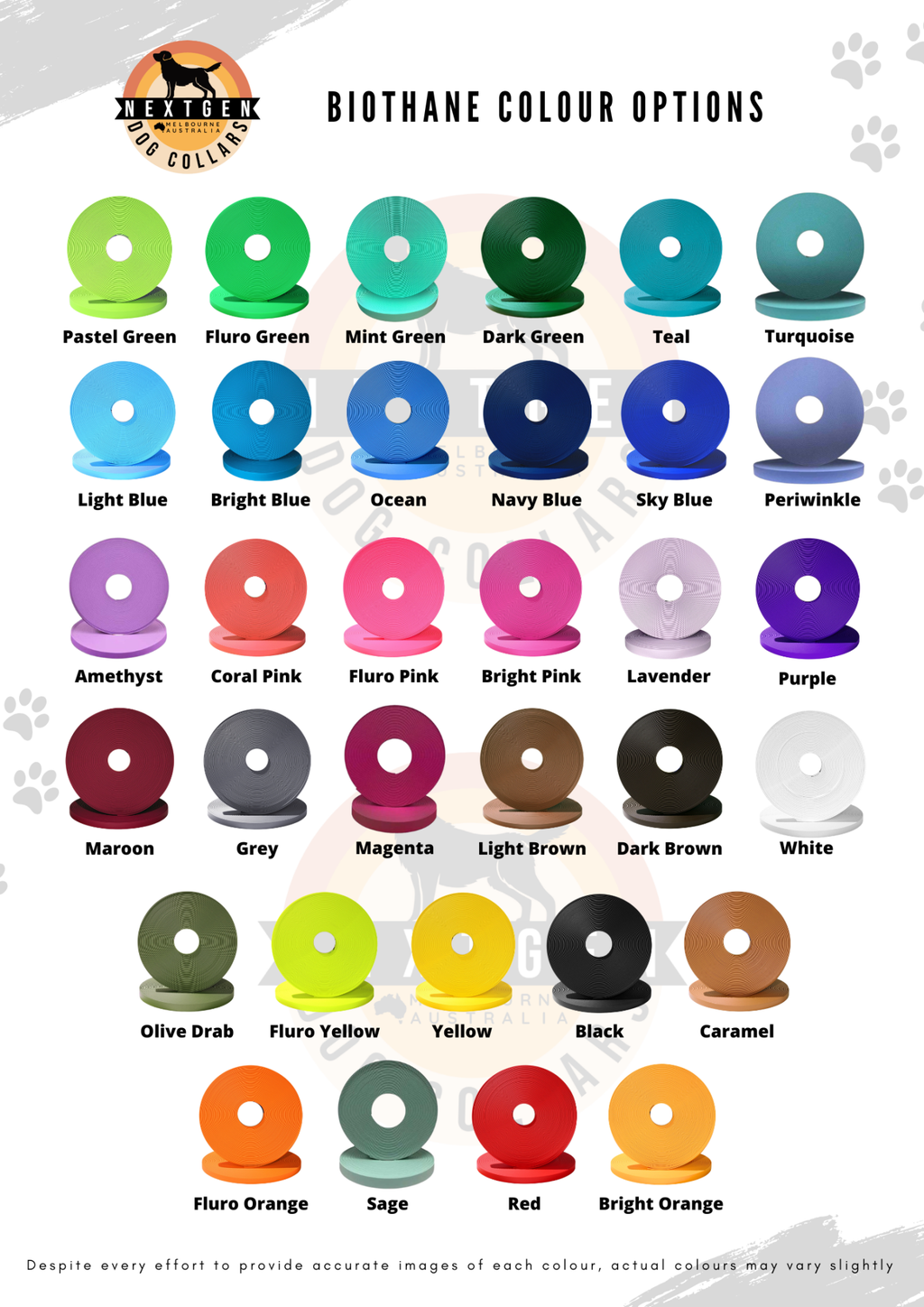 Clearance Biothane Flat Collar 1" 25mm - Nextgen Dog Collars