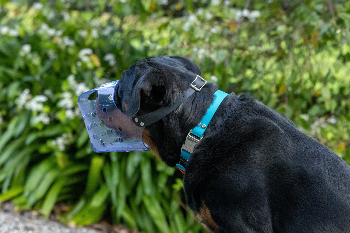 JAFCO Muzzle - Nextgen Dog Collars
