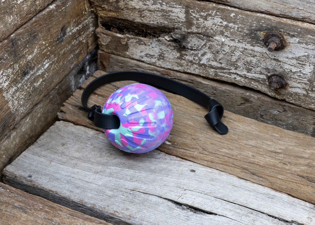 Nextgen Biothane + DuraFoam Sorbet Launcher Ball Sorbet - 9CM - Nextgen Dog Collars