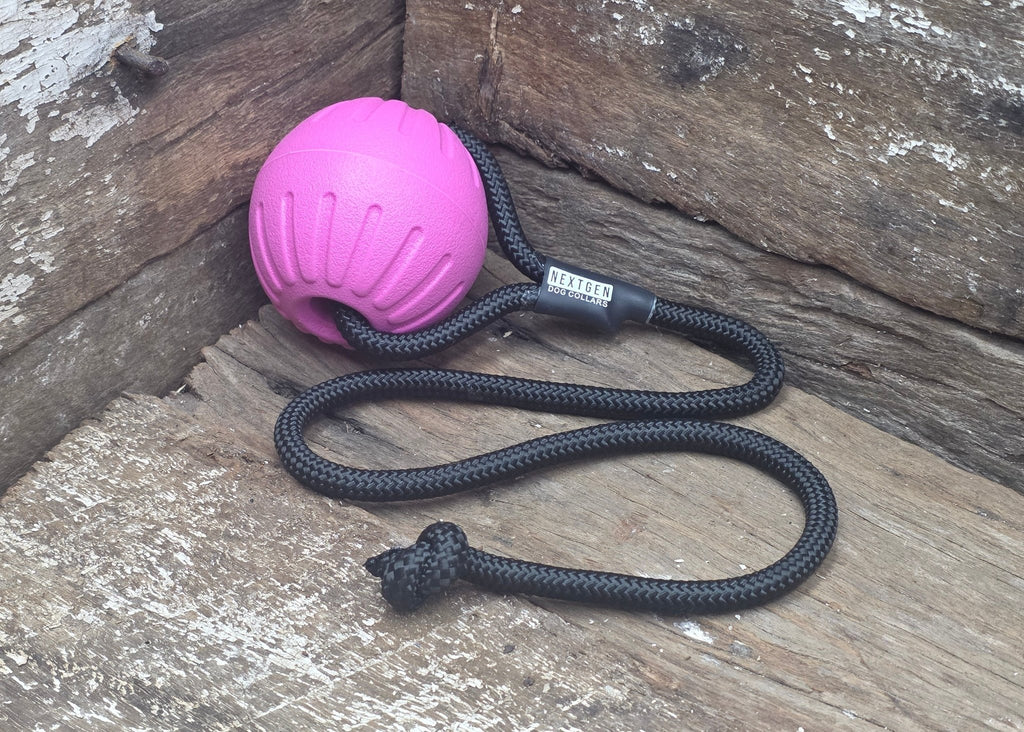 Nextgen DuraFoam Fetch Launcher Ball Pink - 7CM - Nextgen Dog Collars