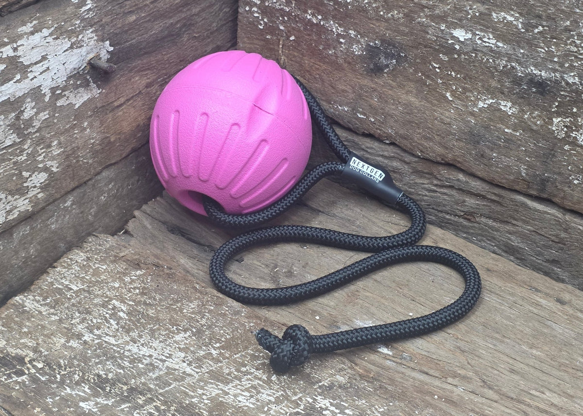 Nextgen DuraFoam Launcher Ball Pink- 9CM - Nextgen Dog Collars