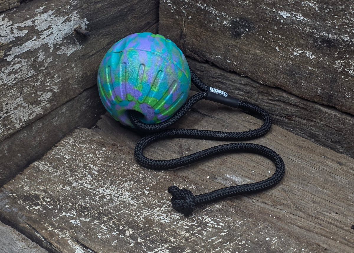 Nextgen DuraFoam Launcher Ball Reef- 9CM - Nextgen Dog Collars