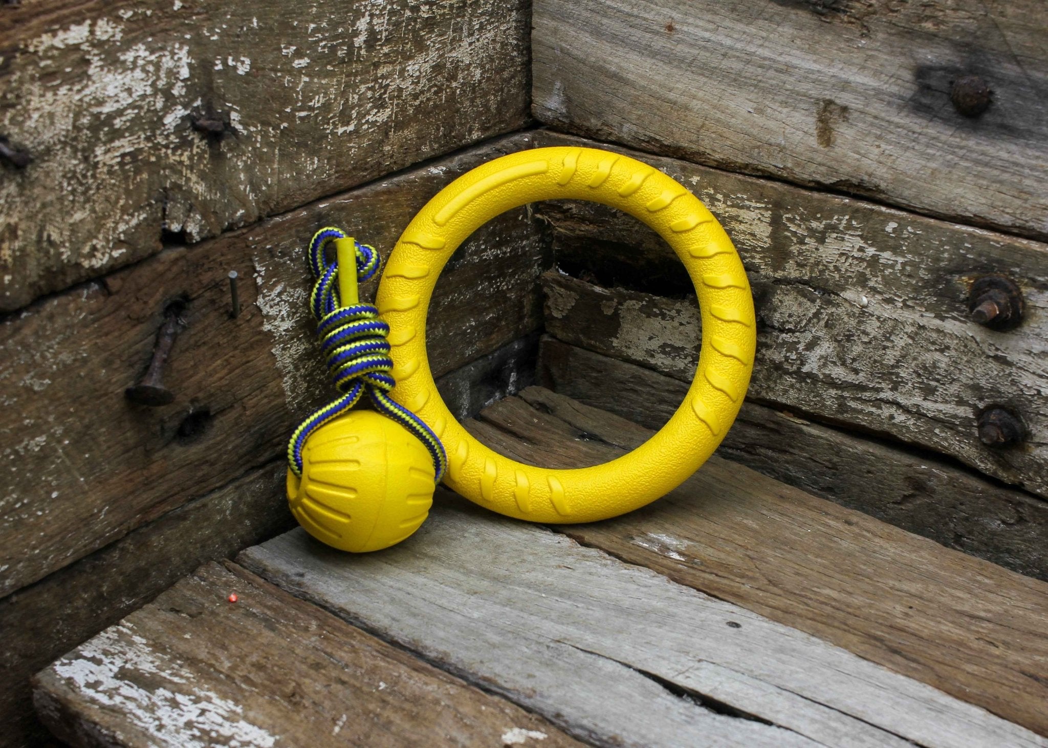 Nextgen DuraFoam Play Combo - Nextgen Dog Collars