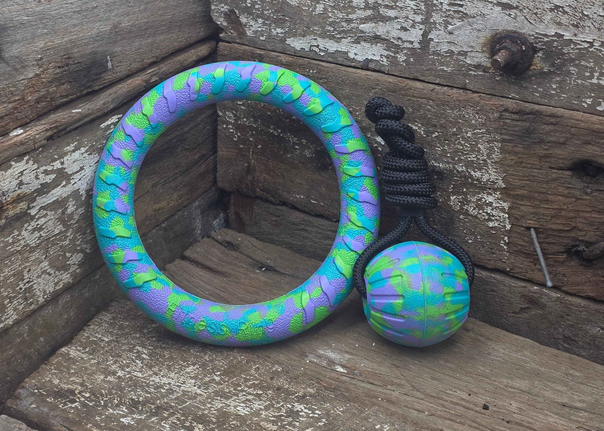Nextgen DuraFoam Play Combo Reef - Nextgen Dog Collars