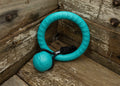 Nextgen DuraFoam Play Combo Teal - Nextgen Dog Collars