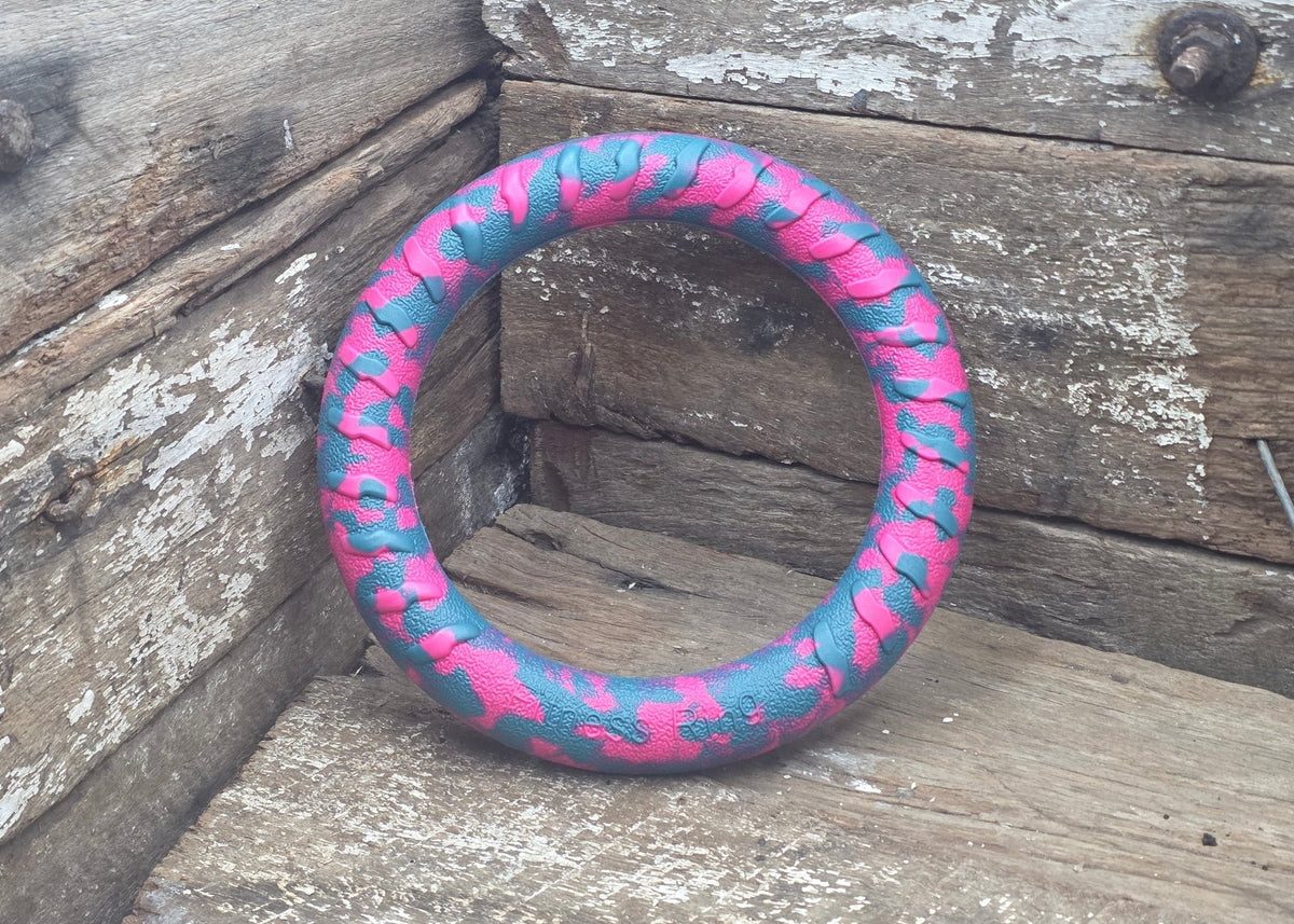Nextgen DuraFoam Ring Cosmic- 18CM - Nextgen Dog Collars