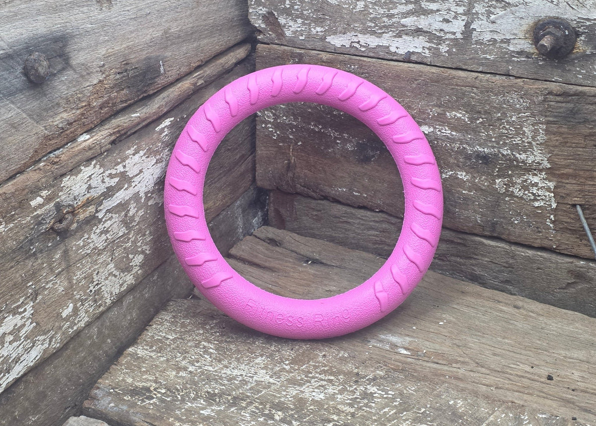 Nextgen DuraFoam Ring Pink- 18CM - Nextgen Dog Collars