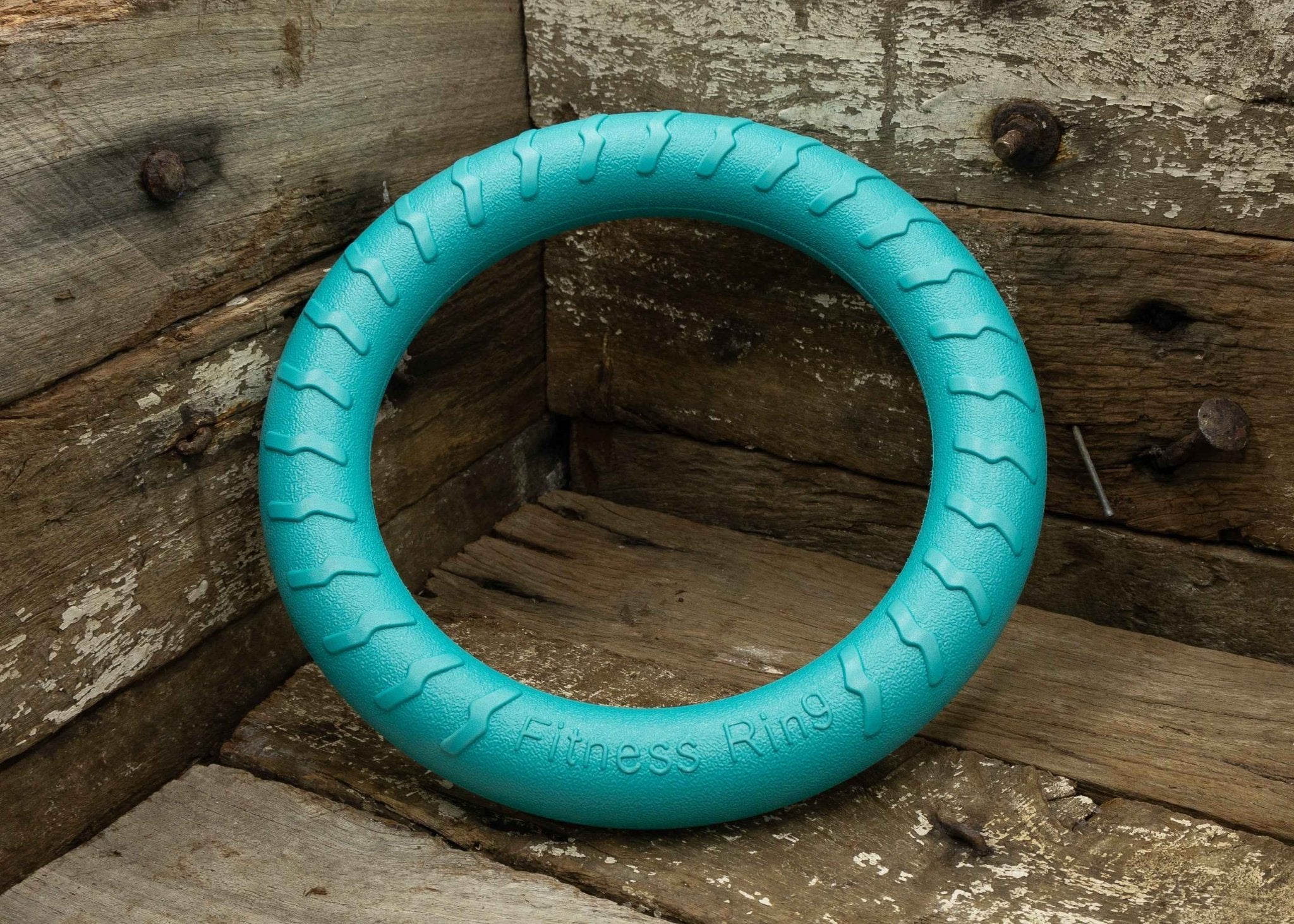 Nextgen DuraFoam Ring Teal - 29CM - Nextgen Dog Collars