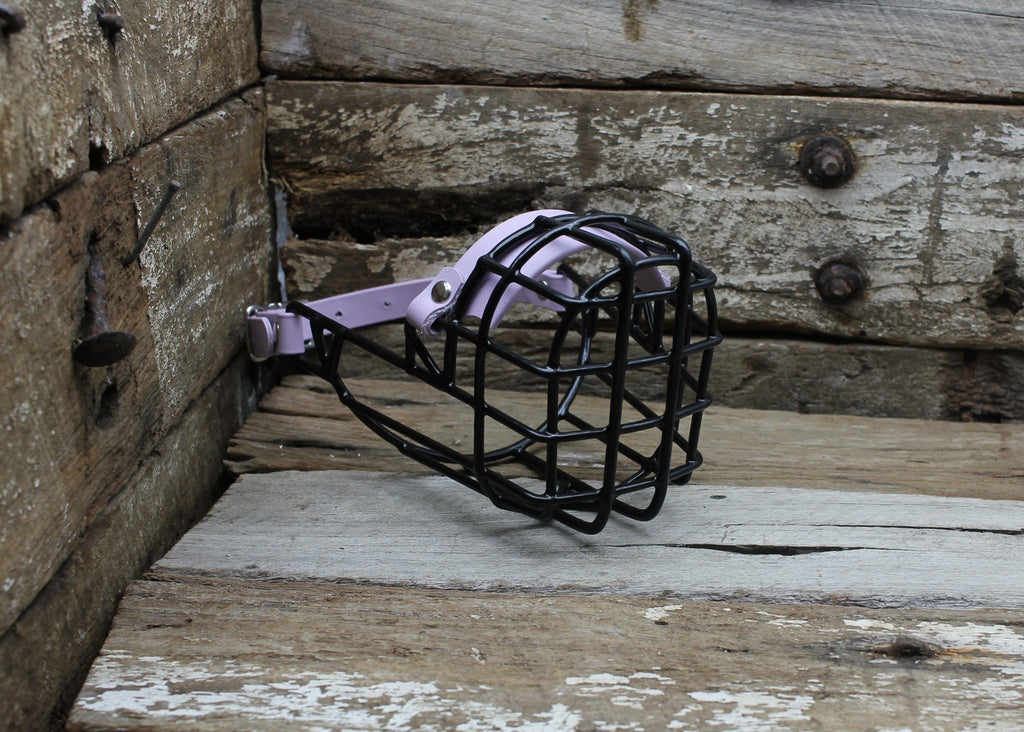 Nextgen Wire Basket Dog Muzzle - Nextgen Dog Collars
