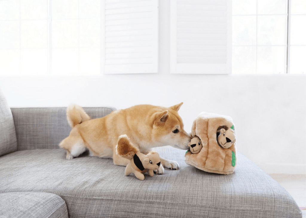 Outward Hound Hide A Squirrel Plush Puzzle Toy - Large - Nextgen Dog Collars