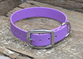 Clearance Stainless Steel Biothane Flat Collar 1" 25mm